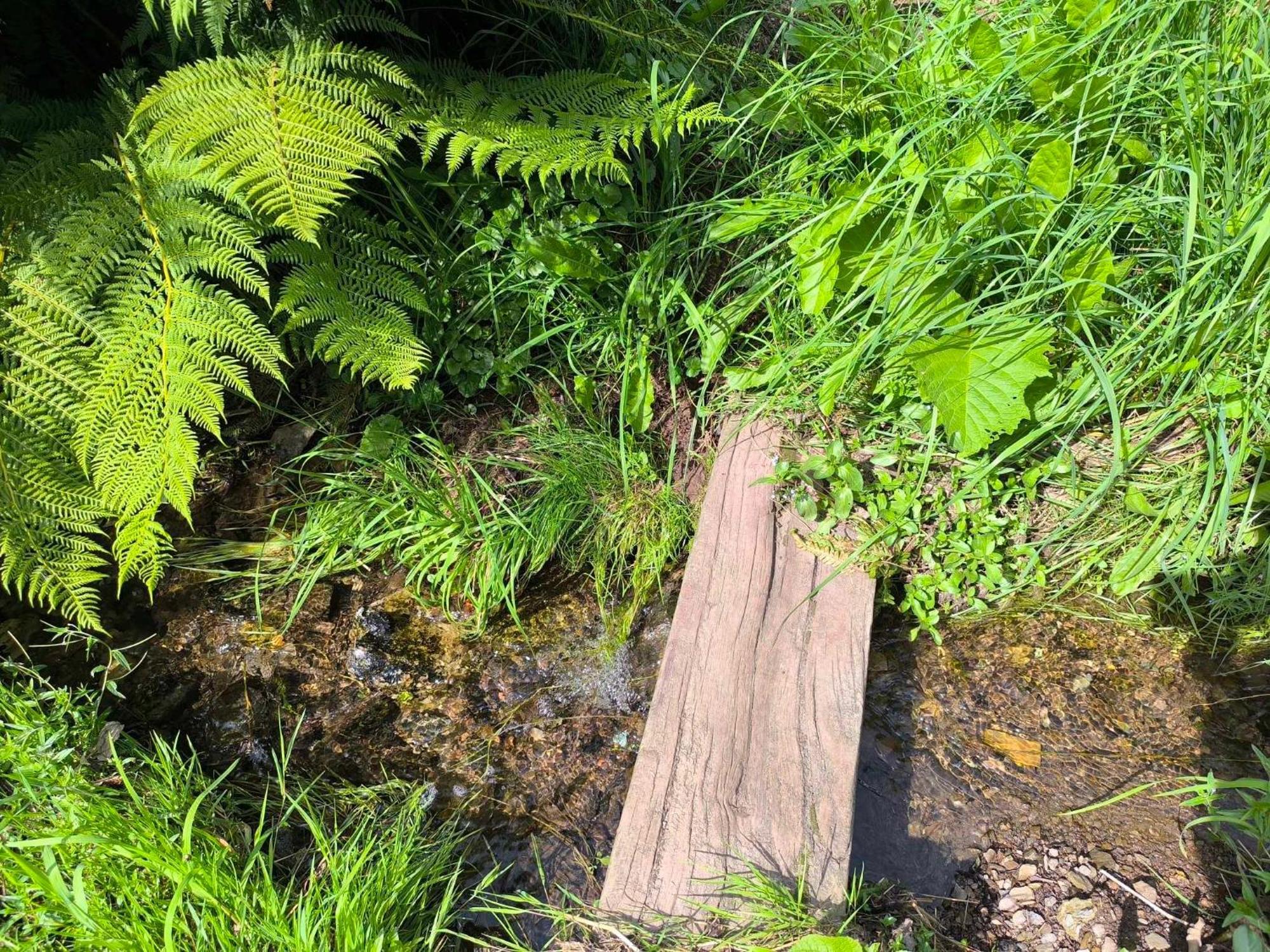 Villa Chaloupka u lišáka Snezne  Esterno foto